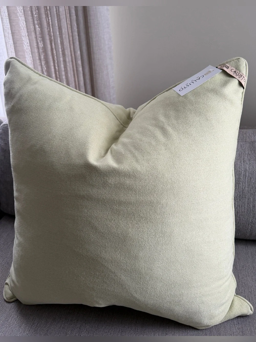 Callisto Home Sage Green Velvet Square Pillow